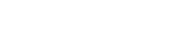 Next Level logo